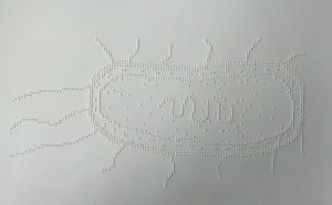 Reljefni prikaz